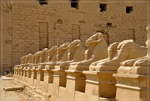 Égypte -Luxor -Au-temple-de-Karnak-L-allée-des-sphinx-à-tête-de-bélier-et-le-premier-pylône 