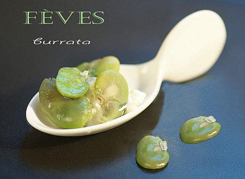 burrata fèves