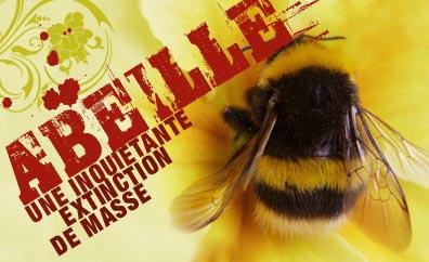 gros-plan-sur-une-abeille