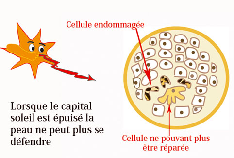 peau-soleil-vitamine-D-cancer