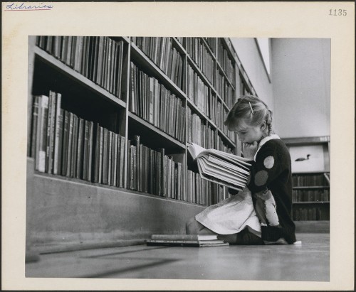 petite-fille-qui-lit-dans-une-bibliothèque-rat-de-bibliothèque