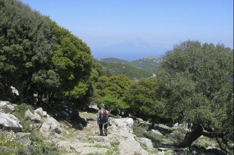 ikaria-l-ile-aux-centenaires