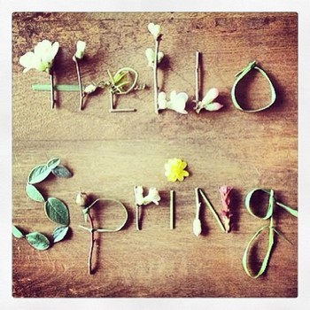 printemps-hello-spring-avec-des-feuilles