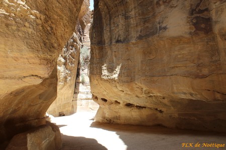 pétra-entrée-du-siq