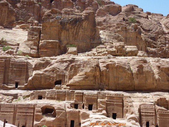 Pétra-jordanie-rue-des-façades-les tombeaux-des-rois