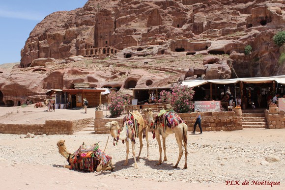 Pétra-jordanie-rue-des-façades-boutiques-bédoins