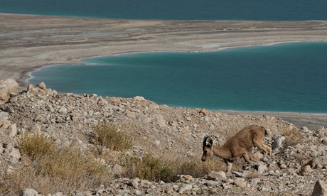 Mer-morte-Jordanie