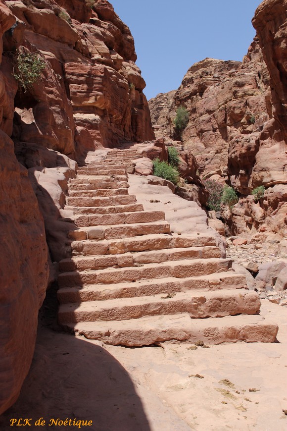 Pétra-escalier-vers-el-Deir