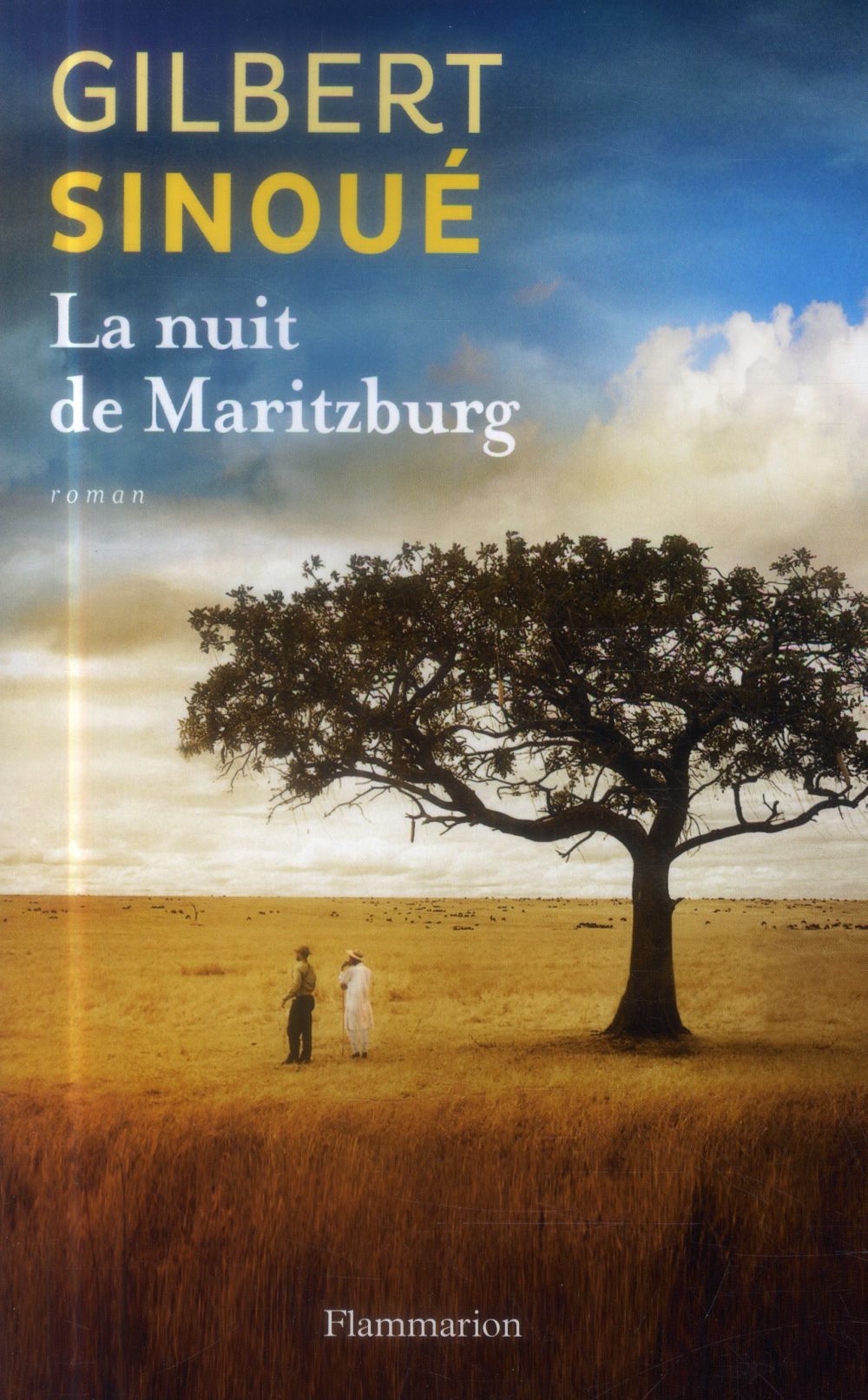 sinoué-la-nuit-à-Maritzburg-gandhi