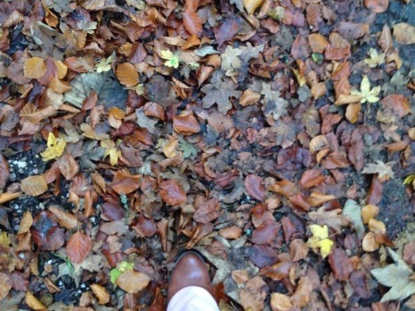 automne-sud-meusien-pied-dans-les-feuilles-mortes