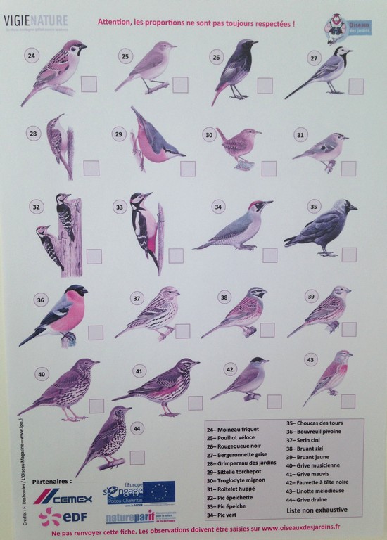 résultat-comptage-des-oiseaux