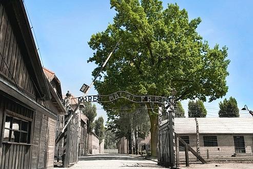 Auschwitz-arbre-mémoire-du-camp-entrée 