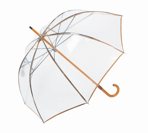 parapluie longchamp transparent