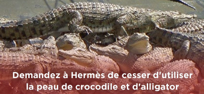 peta-alligator-birkin-hermès