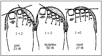pieds-grec-égyptien-romain