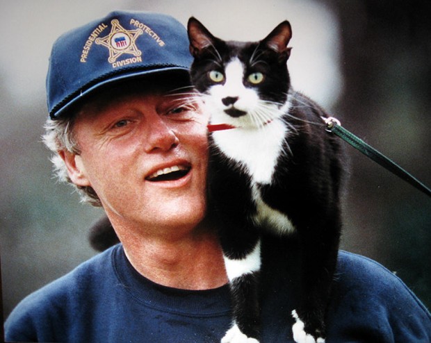 Bill-Clinton-Socks-chat-sur-sonépaule