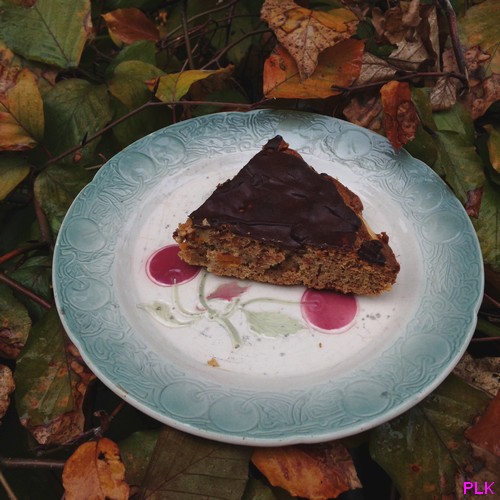 gâteau-pom'potomarron-nappé-chocolat-automne