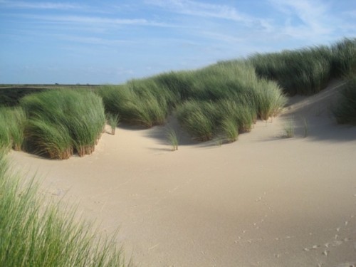 dune-naturelle-dune-marchand-Réserve-Naturelle-Nationale