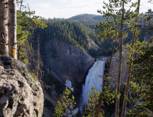 Yellowstone-Falls-Yellowstone-National-Park