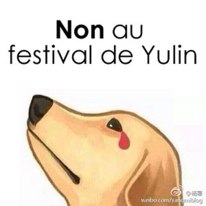 petition-contre-festival-yulin-viande-chiens-chats-a-la-une