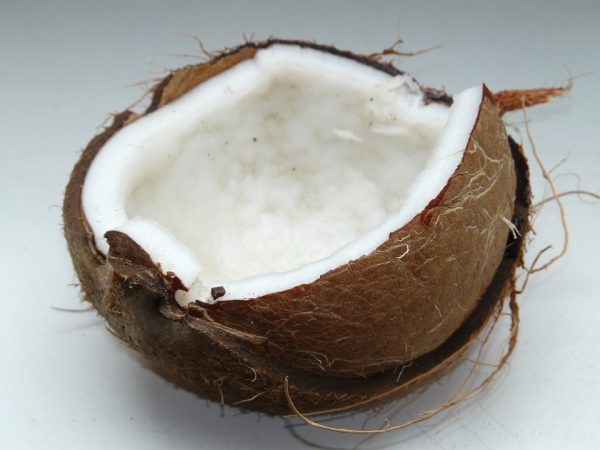 coconut-lait-de-coco