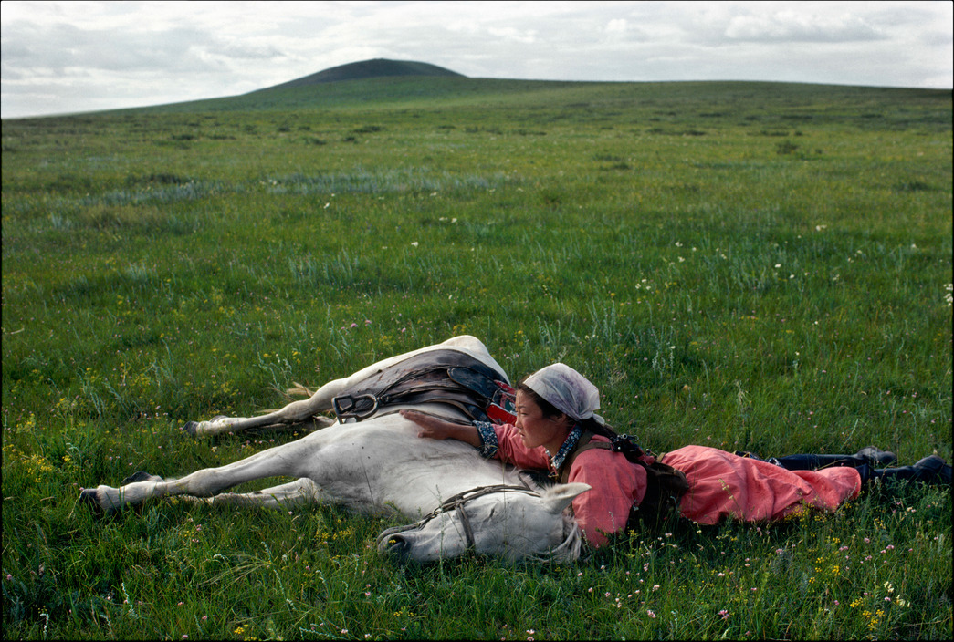 eve-arnold-china-horses-fgirl