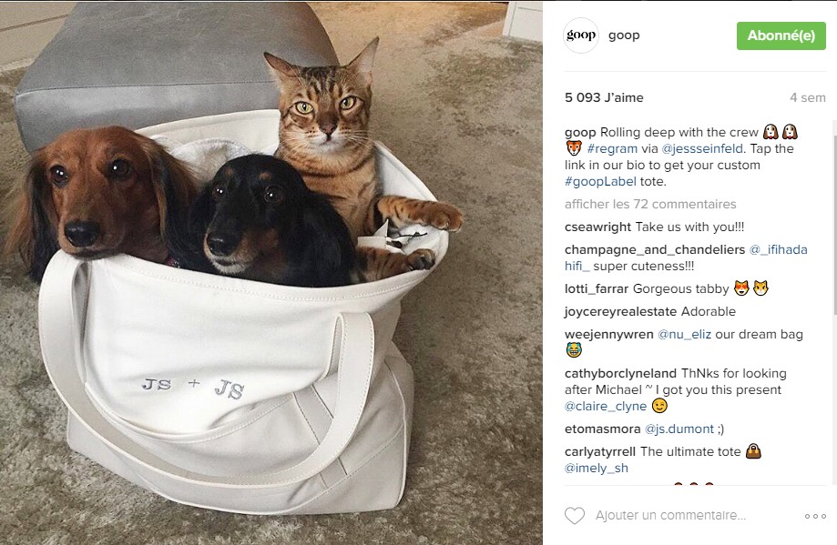 instagram-goop-chiens-chats-tote-bag-hashtags