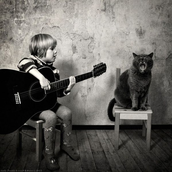 andy prokh-chat-katherine-guitare