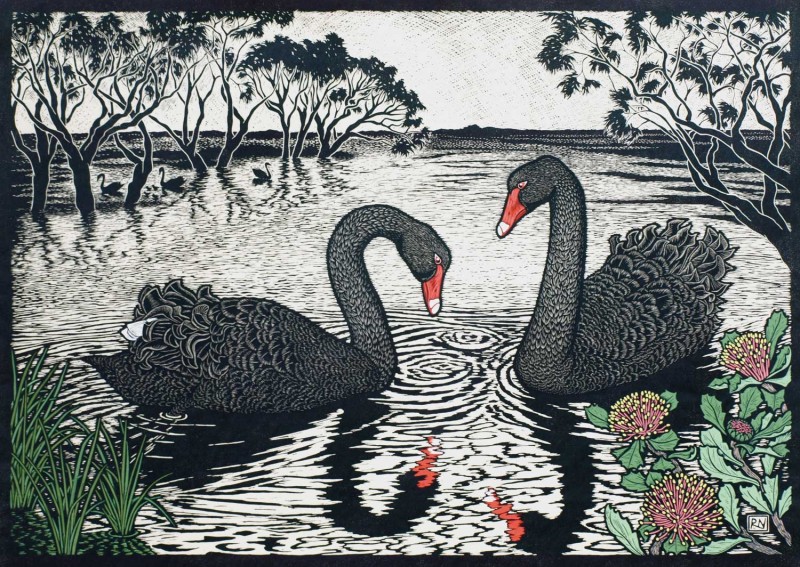 black-swan-linocut-rachel-newling