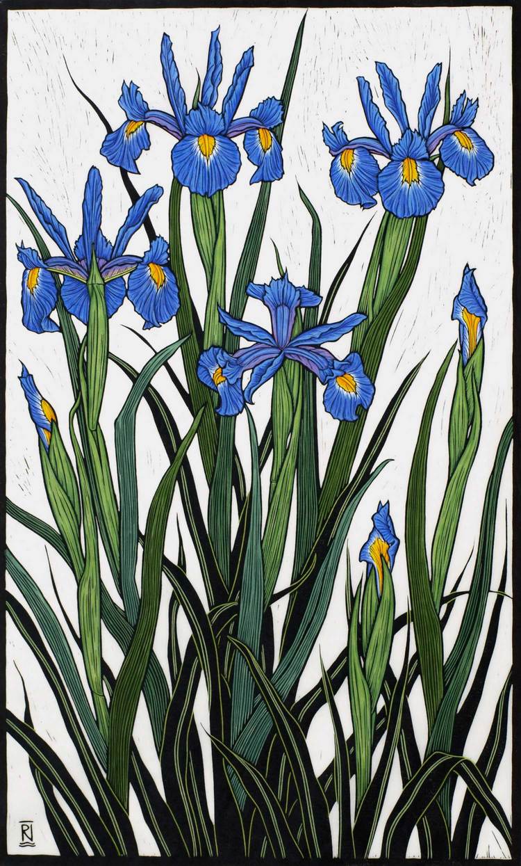 irises-linocut-rachel-newling