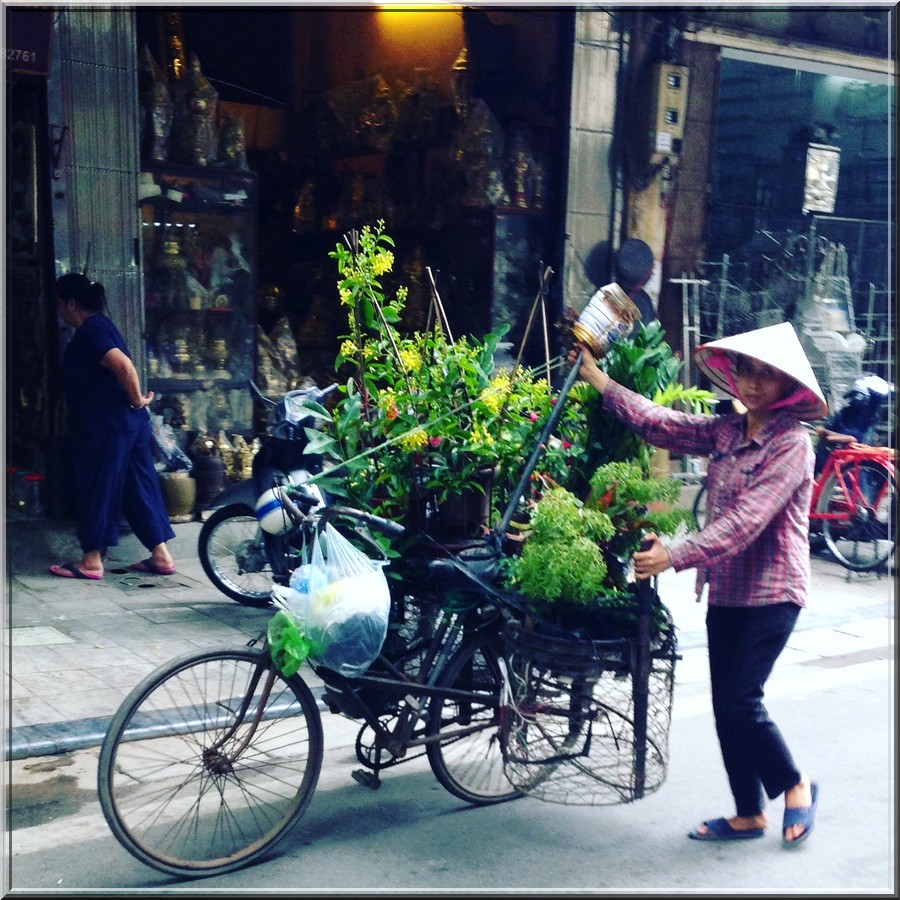 hanoï-vietnam-vendeuse-ambulante-de-rue