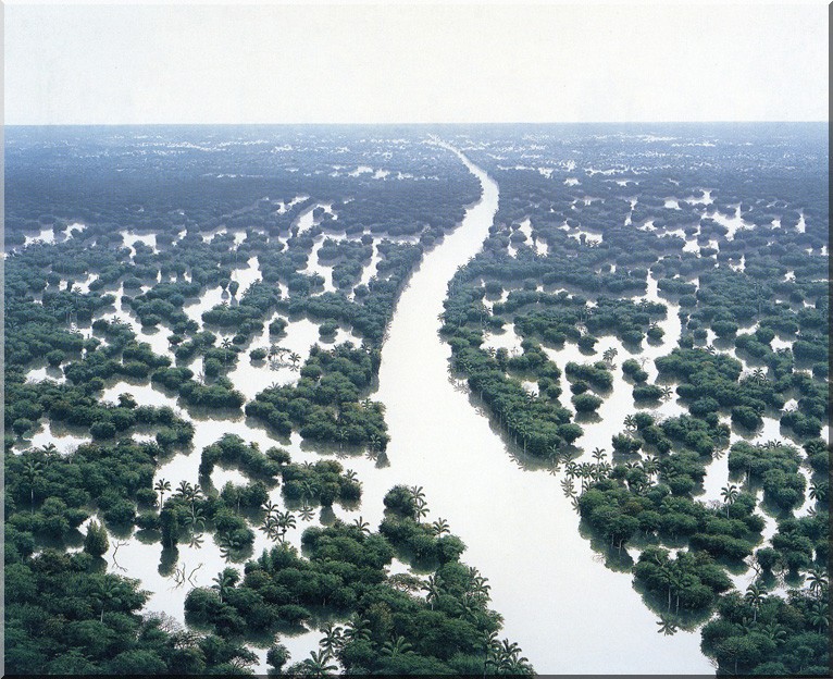 Tomas-Sanchez-Inondation-de-la-rivière-Aguas-Blancas-