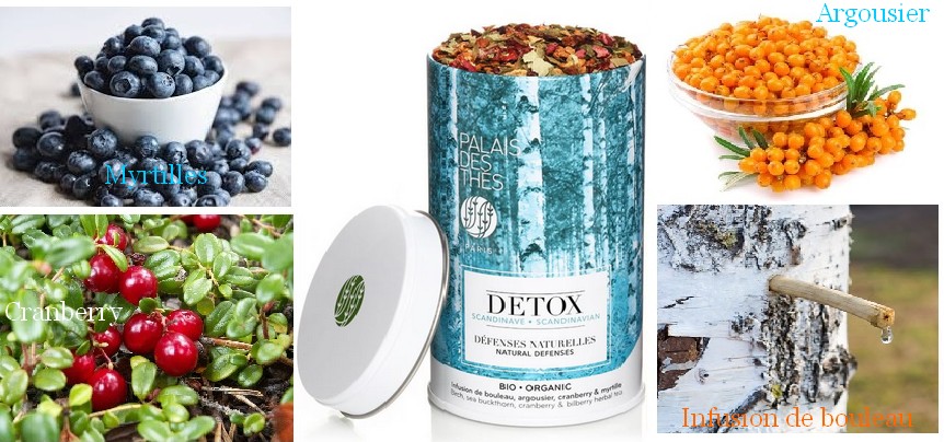 thé-detox-scandinave-palais-des-thés