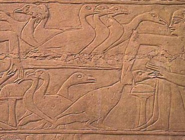 foie-gras-bas-relief-egypte