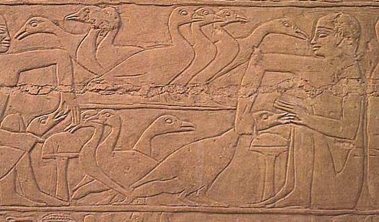 foie-gras-bas-relief-egypte