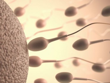 spermatozoides-nutella