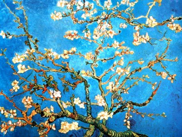 Van Gogh Branche d' amandier en fleur