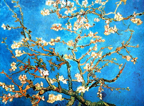 Van Gogh Branche d' amandier en fleur