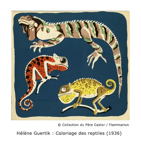 quertik-reptiles-pere-castor