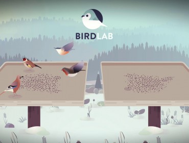 Appli-BirdLab-compter les oiseaux
