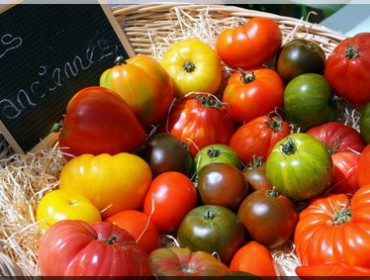 tomates anciennes-salade capri