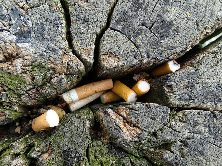 cigarette-pollution