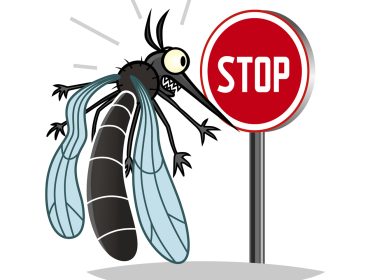 éviter-piqure-moustique