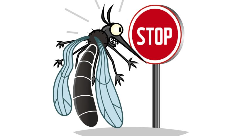 éviter-piqure-moustique