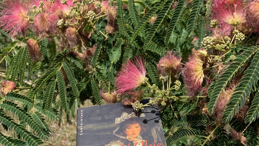 la-femme-révée-wilkie-collins