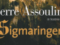 sigmaringen-pierre-assouline